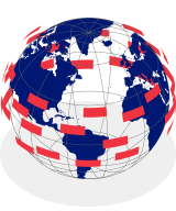 Extensive Auction Network