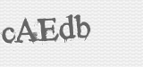 CAPTCHA code