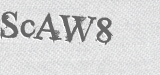 CAPTCHA code