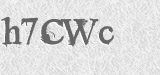 CAPTCHA code