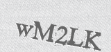 CAPTCHA code
