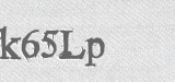 CAPTCHA code