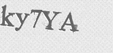 CAPTCHA code