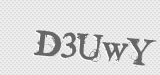 CAPTCHA code
