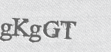 CAPTCHA code