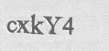 CAPTCHA code