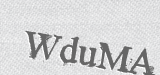 CAPTCHA code