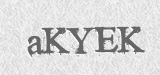 CAPTCHA code