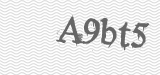 CAPTCHA code