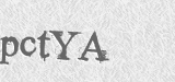 CAPTCHA code