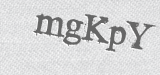 CAPTCHA code