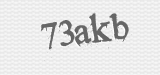 CAPTCHA code