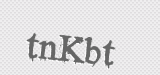 CAPTCHA code