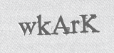 CAPTCHA code