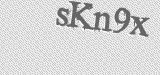 CAPTCHA code