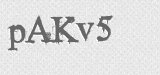 CAPTCHA code