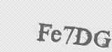 CAPTCHA code