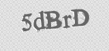 CAPTCHA code