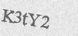 CAPTCHA code