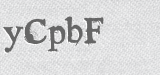 CAPTCHA code