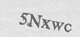 CAPTCHA code