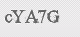 CAPTCHA code
