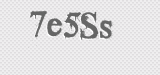 CAPTCHA code