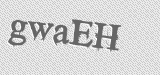 CAPTCHA code