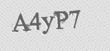 CAPTCHA code