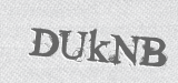 CAPTCHA code