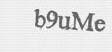 CAPTCHA code