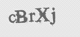 CAPTCHA code