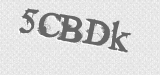 CAPTCHA code