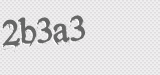 CAPTCHA code