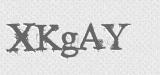 CAPTCHA code