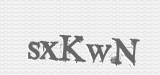 CAPTCHA code