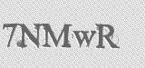 CAPTCHA code