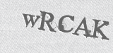 CAPTCHA code