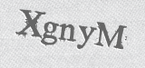 CAPTCHA code