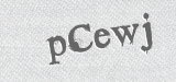 CAPTCHA code