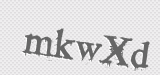 CAPTCHA code