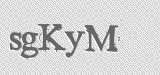 CAPTCHA code