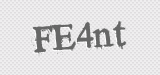 CAPTCHA code