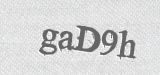 CAPTCHA code