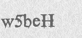 CAPTCHA code