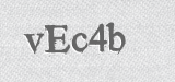 CAPTCHA code