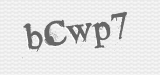 CAPTCHA code