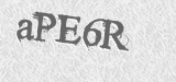CAPTCHA code