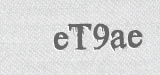 CAPTCHA code