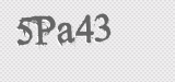 CAPTCHA code